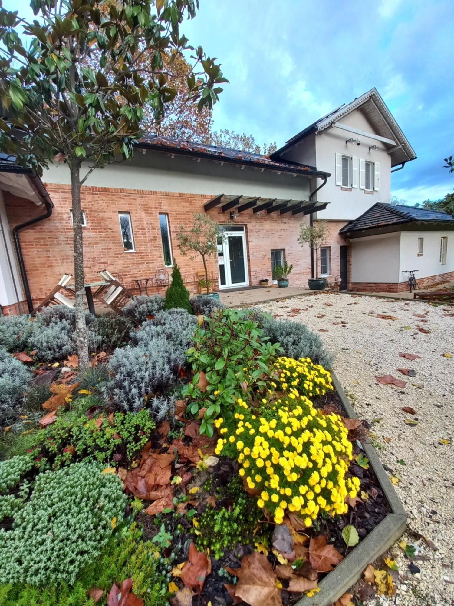 Varga Villa Orfű Extérieur photo